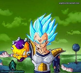 Super Saiyan God Vegeta By Megamody