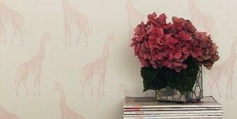 Wallpaper Love Abnormals Anonymous The English Room