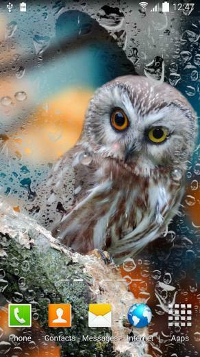 Rain Live Wallpaper Android Apps On Google Play