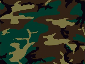 Camouflage Background