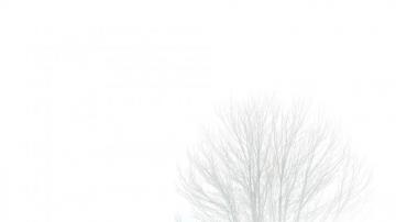 Whiteout Retina HD 1920x1080x401ppi Black And White Wallpaper
