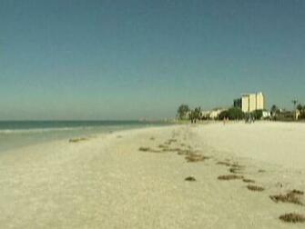 Sarasota Siesta Key Public Beach