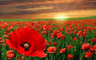 Tablet Pc Wallpaper Modern Screensavers For Lg Optimus Pad