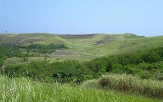 Tropical Island Nature Widescreen Desktop Background