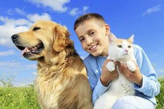Cat And Dog Desktop Wallpaper