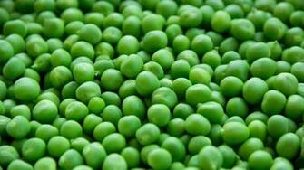 Fresh Peas Wallpaper iPhone Android Desktop Background