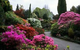 Beautiful Flowers Garden Wallpaper