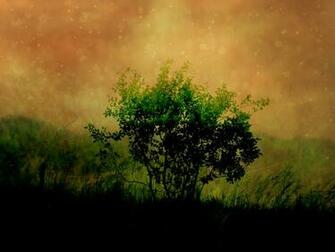 Install Dawn Of Ubuntu Wallpaper In Karmic