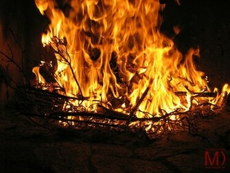 Fire Flower Wallpaper Background X Id