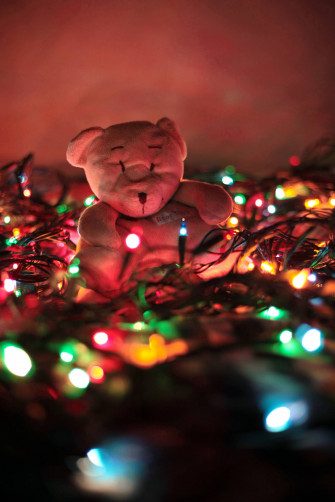 Cute Teddy Bear Wallpaper