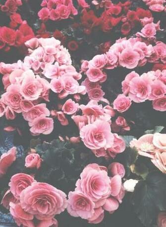 Olha Essa Imagem Que Eu Achei No We Heart It Weheartit