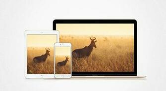 Wallpaper Monday Golden Mornings By Vandoorneowuor