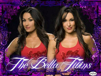 The Bella Twins By Kasakuraxmaskai