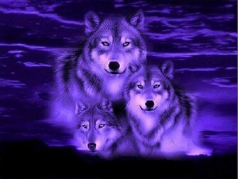 Blue Wolf Fantasy Wallpaper