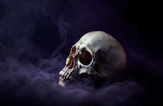 HD Skull Wallpaper 1080p
