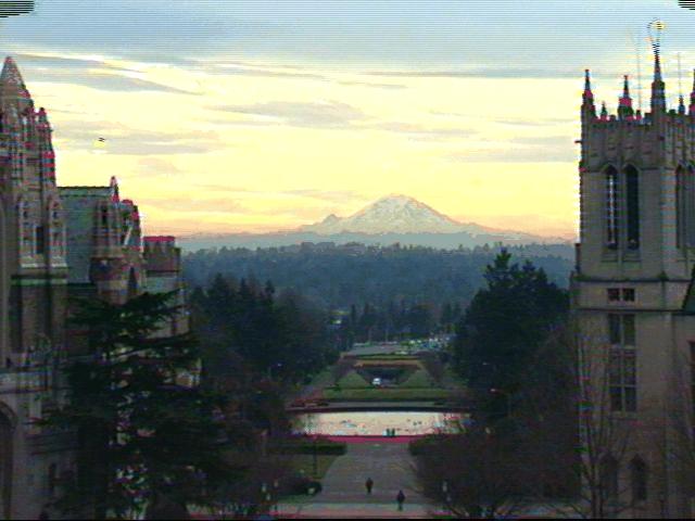 University Of Washington Photos