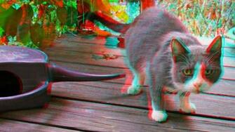 Cats Anaglyph 3d Wallpaper