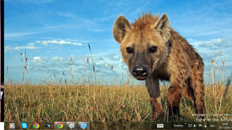 Is A Selection Of Background Image From The Theme African Wildlife