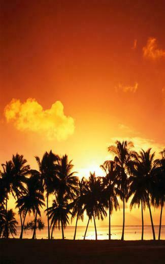 Android Wallpaper For Your Cell Phone The Desktop Background Of