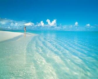 Paradise Wallpaper Art Print Poster Tropical