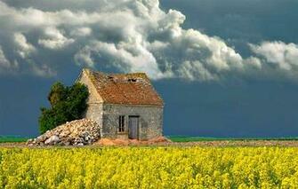 French Jpg