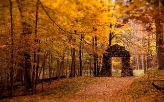 Fall Wallpaper Dr Odd