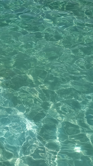 Sea Wallpaper Blue Water Sage Green