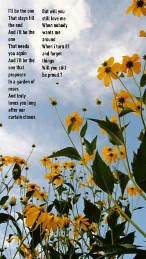 Rex Orange County Lyrics Happiness Aesthetic Wallpaper
