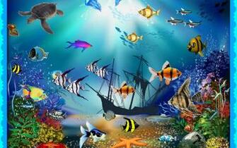 Wallpaper Fishes Aquarium Breath Scales Full HD 1080p
