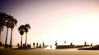 Venice Beach Wallpaper On