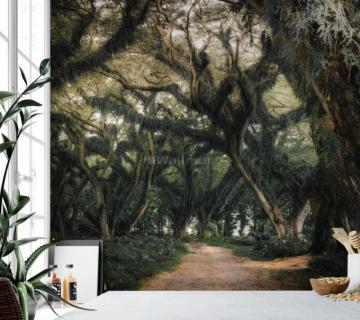 Tree Roots Wallpaper Mural Wallmur