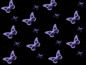 Purple Butterflies Wallpaper