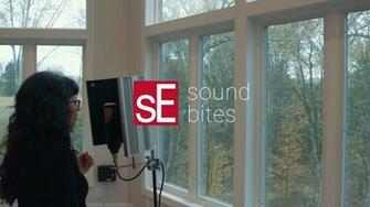 Se Electronics Soundbites Rnt Female Vocals