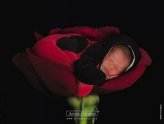 Anne Geddes Wallpaper Desktop Photography