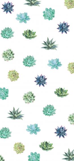 Summer Succulent iPhone Wallpaper Phone