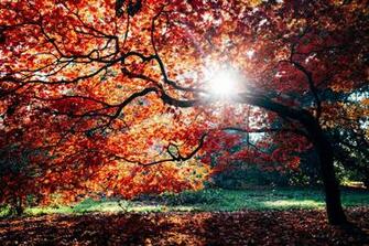 Are You An Autumn Personality Sophie Robinson