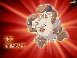 Primeape Wallpaper