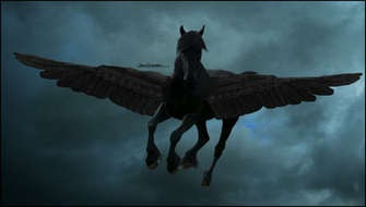 Night Fly Wallpaper By Eleganceapparent
