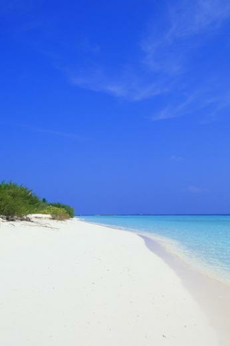 Coastal Beach Simply Beautiful iPhone Wallpaper