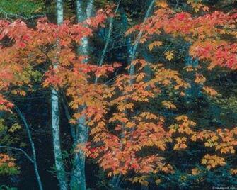 New England Fall Desktop Wallpaper In HD