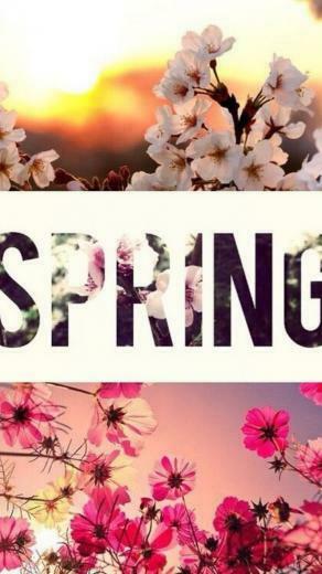 Wallpaper Hello Spring Android