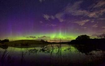 Wallpaper Northern Lights Sky Stars Trees Landscape