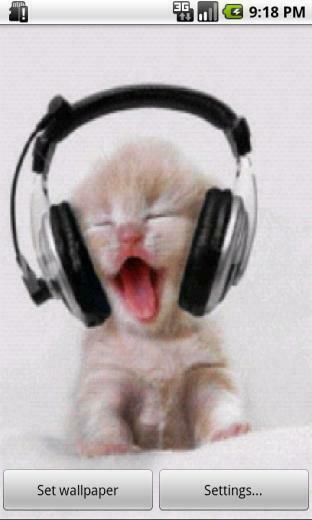 Music Kitten Live Wallpaper For Your Android Phone