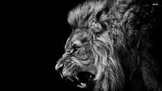 Roaring Lion Wallpaper Animal