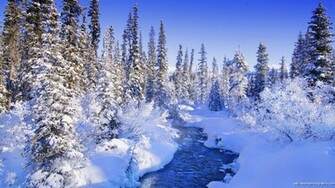 Smscs Photo Winter Html