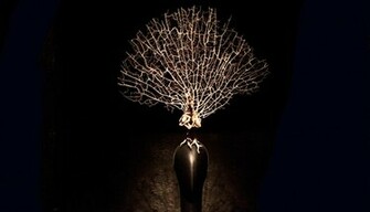 Alexander Mcqueen Wallpaper Mcqueen6