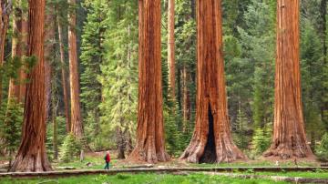 The Most Beautiful Places In America Cond Nast Traveler