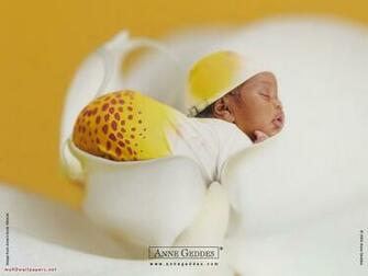 Anne Geddes Wallappers Part Desktop Wallpaper HD