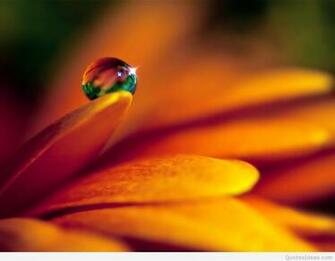 Awesome Spring Wallpaper Photos