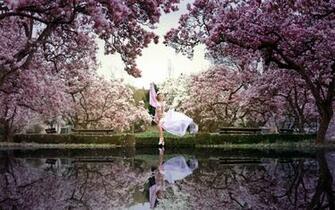 Spring Desktop Background Wallpaper High Definition Quality
